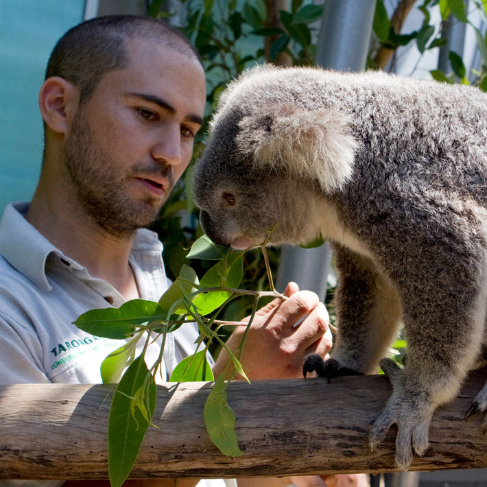 HSC certificate programs at Taronga Zoo Sydney