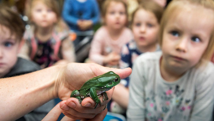 vacation care at Taronga Western Plains Zoo