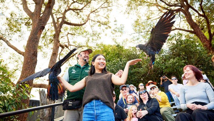 Free Flight Bird Presentation