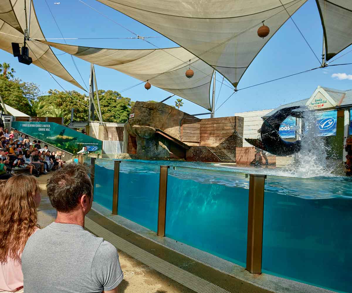 Seals for the Wild presentation