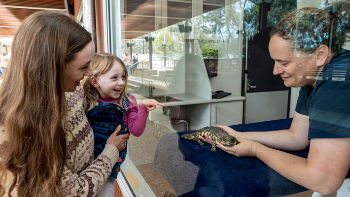 Guests enjoying the new Wildlife Hospital experience
