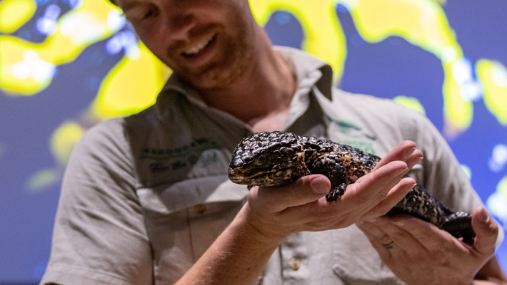 Reptile Alive Show at Taronga Zoo Sydney