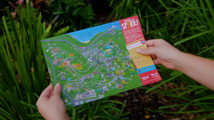 Red Energy Species with Spark Kid's Zoo Trail
