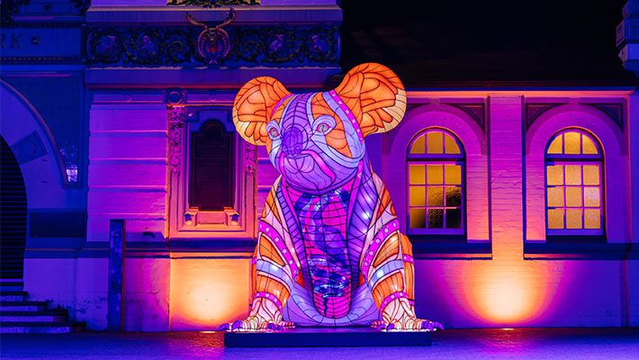 Wild Lights at Taronga Zoo Sydney, Koala Lantern