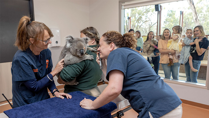 Wildlife Hospital at Taronga Western Plains Zoo 