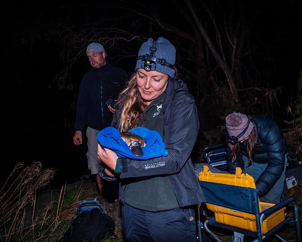 Phoebe with Platypus 