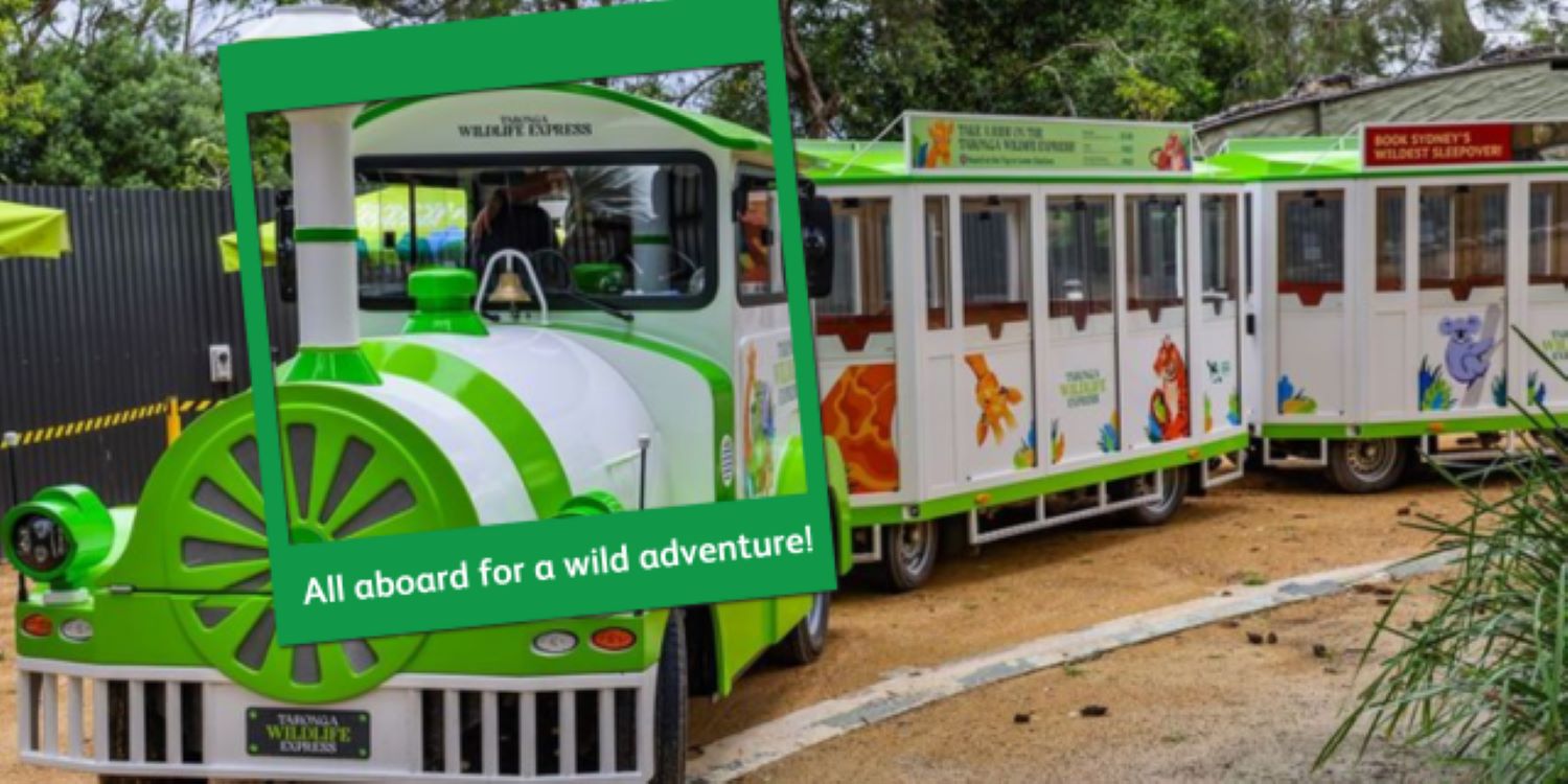 Wildlife Express