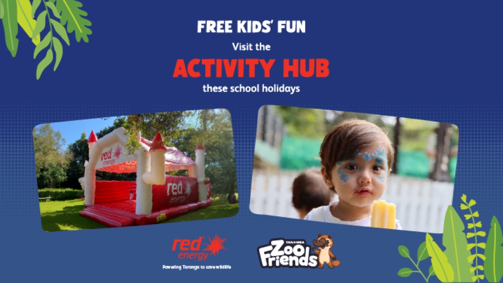 Activity hub