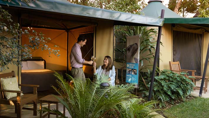 Drink and dine at the Roar and Snore campsite