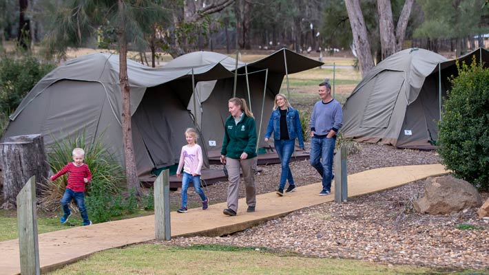 Experience an early morning walk around the Zoo