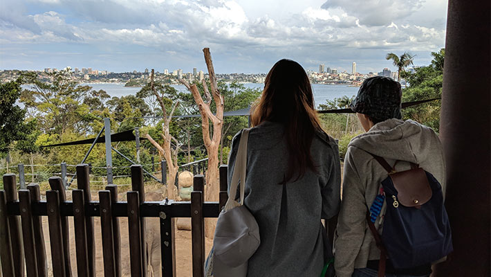 Get a bird's eye view of the Elephant paddock