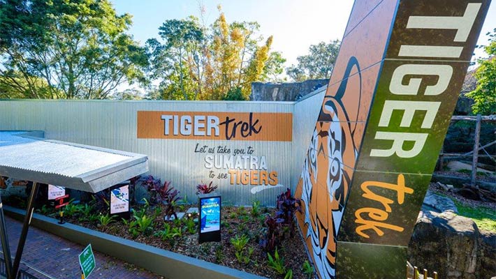 Board a flight to Sumatra at Tiger Trek