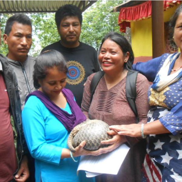 Rescue of Pangolin at Chandrairi, Kathmandu with local forest users group members, 2018, Photo: Small Mammals Conservation and Research Foundation
