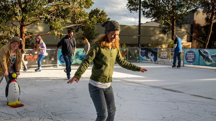 Taronga on Ice - Ice Skating Rink