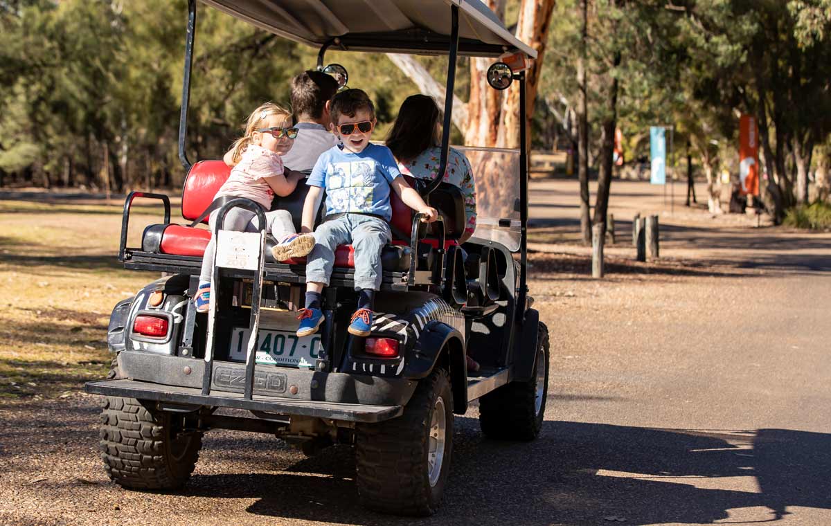 Bike cart hire