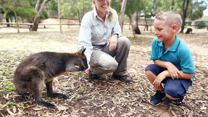 Outdoor classes at Taronga Western Plains Zoo Dubbo