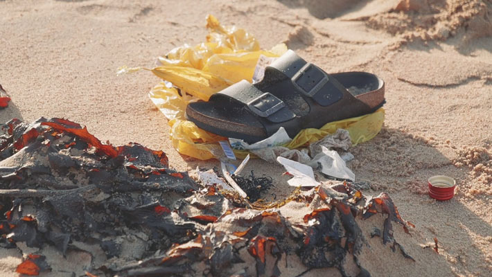 Beach debris