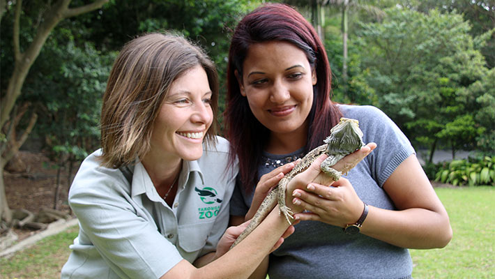 Taronga Educator shows a Bearded Dragon to a teacher.