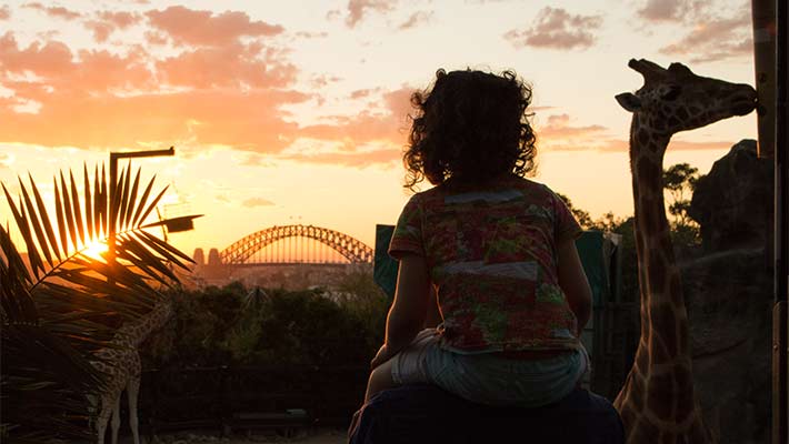 Sunset, Taronga Zoo Sydney