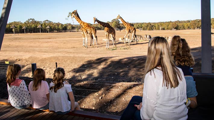 Zoofari Animal View Lodges