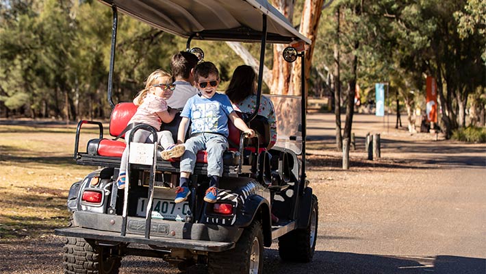 Electric cart hire