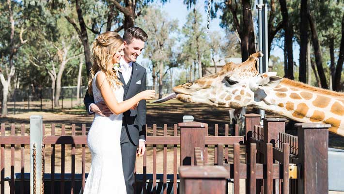 Weddings at Taronga Western Plains Zoo. Photo: Sheri McMahon
