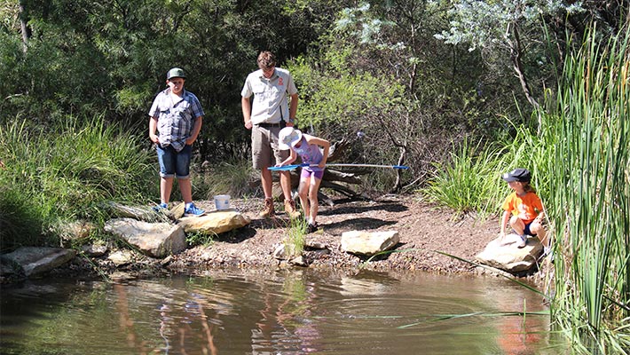 Zoo Adventures, Dubbo