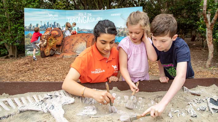 Children enjoying the Fossil Dig.