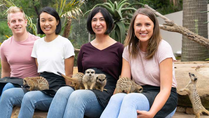 Meerkat Encounter