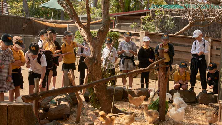 Students at Backyard to Bush, Sydney