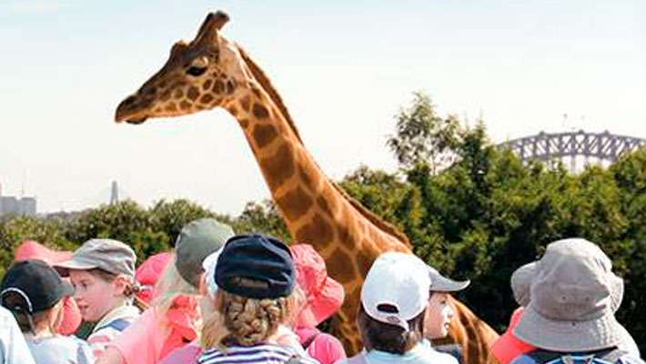 Explore our Zoos in your own way