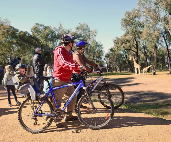 Bike Hire