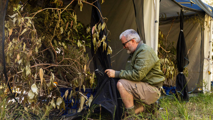 Taronga Western Plains Keeper Michael Shiels preparing for the release