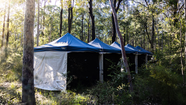 Regent Honeyeater released on Mindaribba land in the Hunter Valley