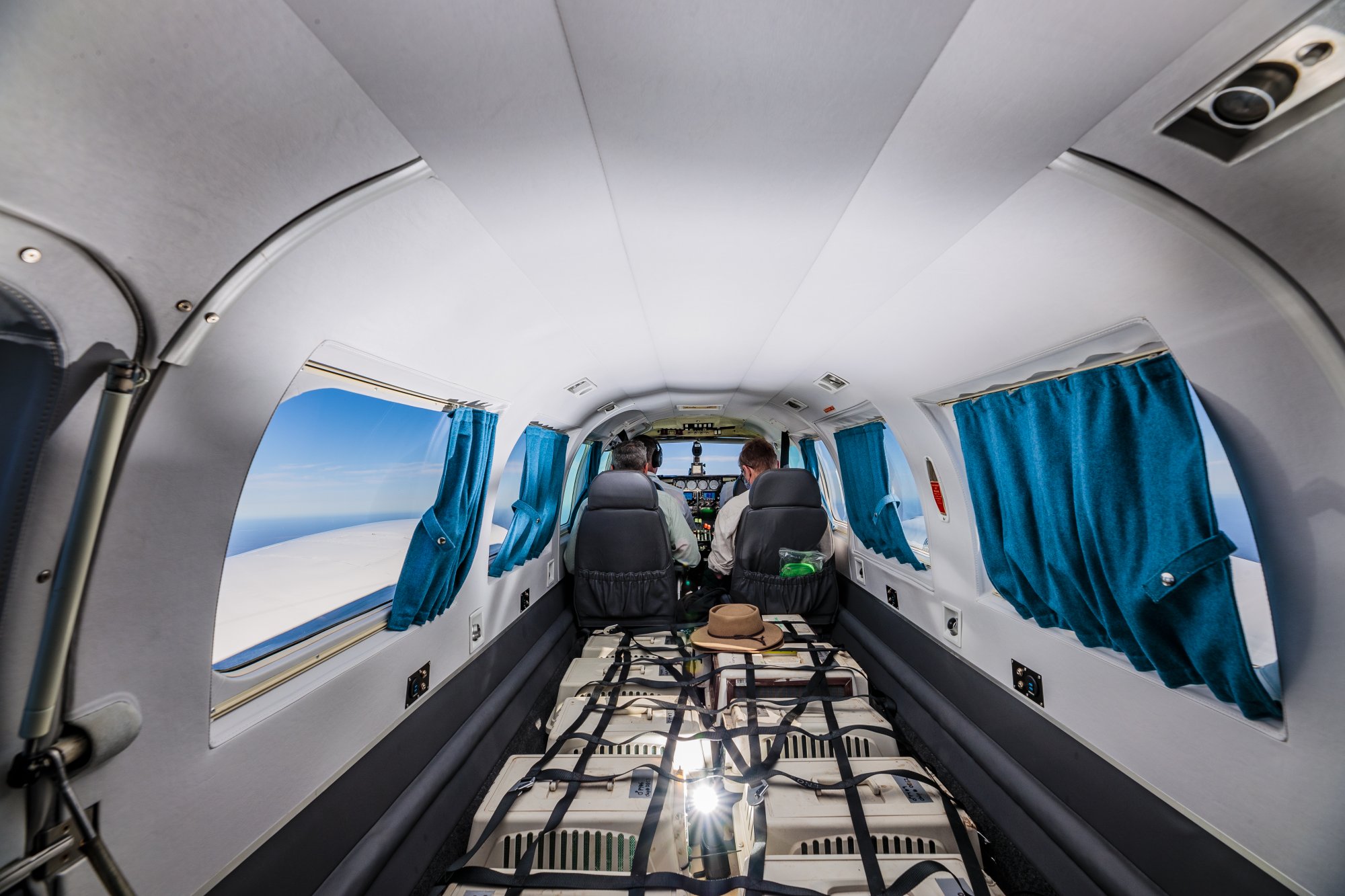 Bilbies on board the Airlink flight