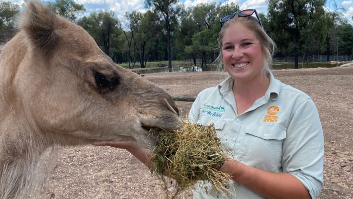 Keeper Ruby and Samera the Camel, Taronga Western Plains Zoo. Photo: Keeper Ruby