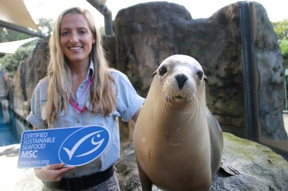 Taronga Zoo's catering partner EPICURE has secured the highest level of MSC certification