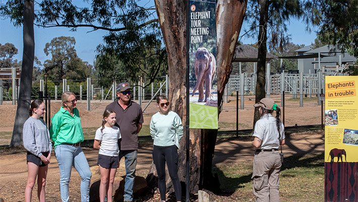 Our Keepers will meet you near our Asian Elephant transport crate.