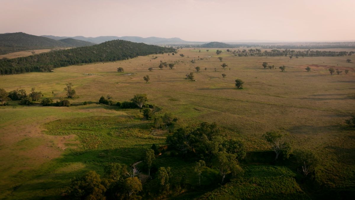Habitat Positive Sanctuary One