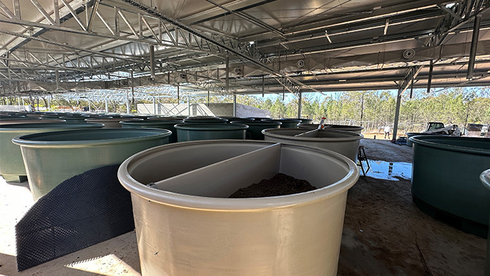 Platypus Rescue HQ at Taronga Western Plains Zoo