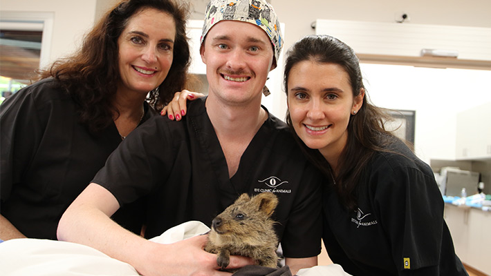 The Eye Clinic for Animals team – Dr Kelly Caruso, William Irving and Mayara Galetti – with Quokka Wir