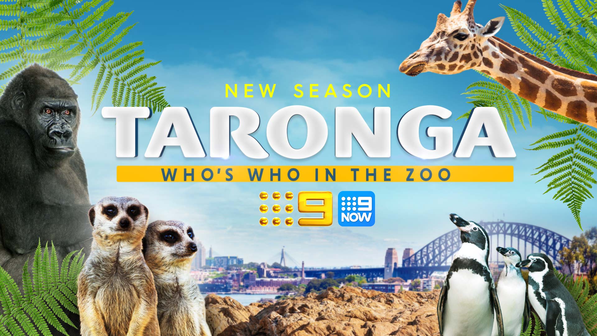 Taronga: Who's Who in the Zoo - New season 