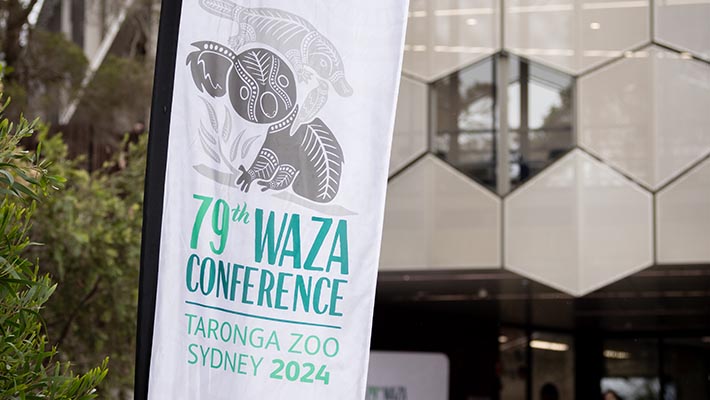WAZA Conference 2024