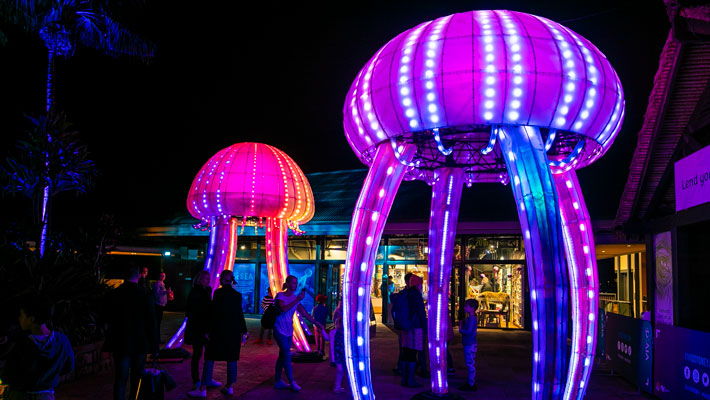 Jellyfish Blooms