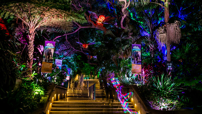 The illuminated Night Trail through the Zoo