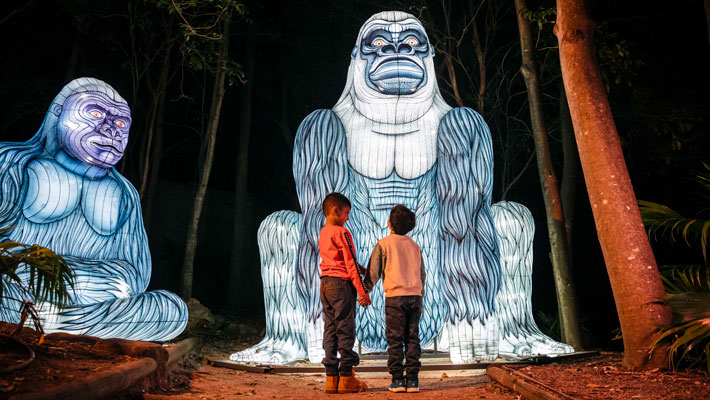 Gorilla light installation - Wild Lights at Taronga Zoo Sydney
