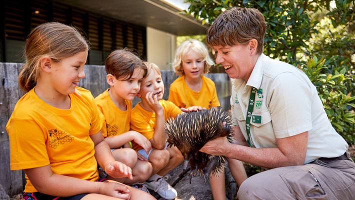 Kids learning about iconic Australian animal, the Echidna