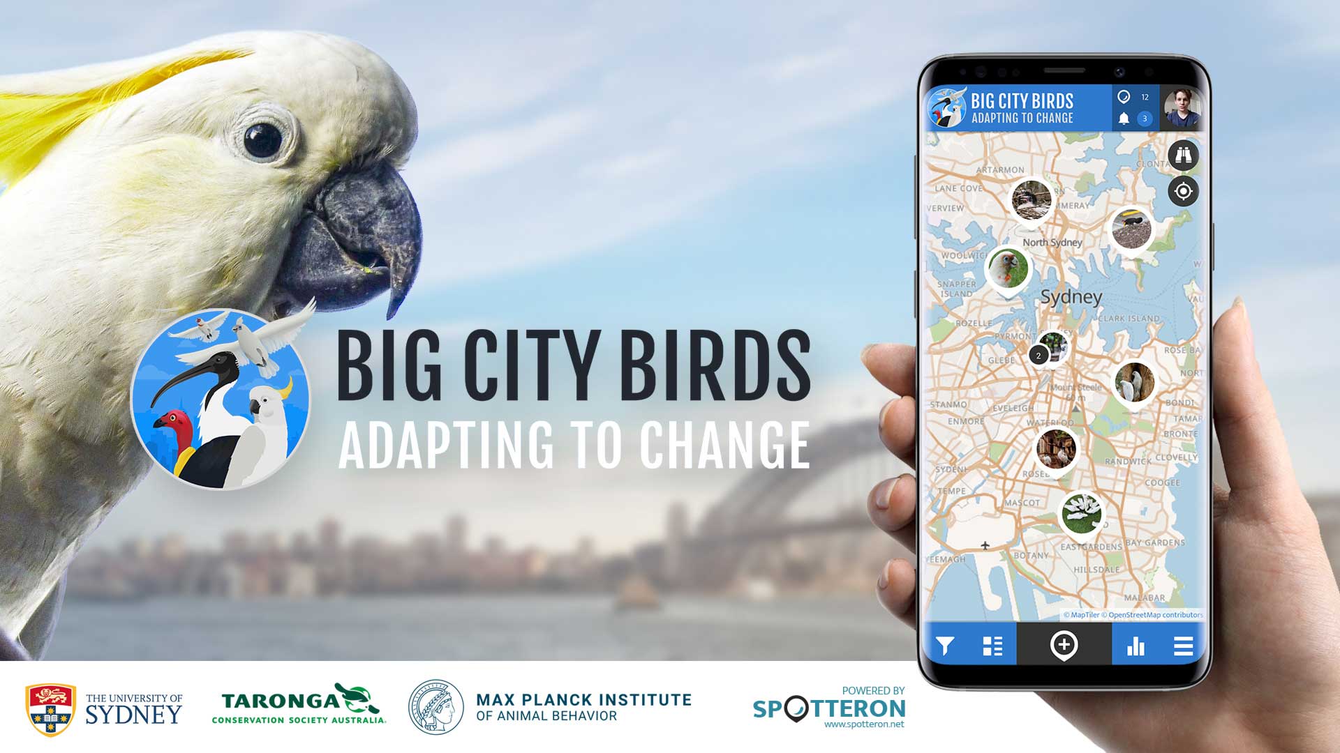 Big City Birds - Adapting to Change