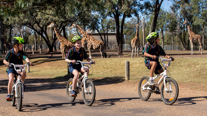 Bike hire. Photo: Rick Stevens