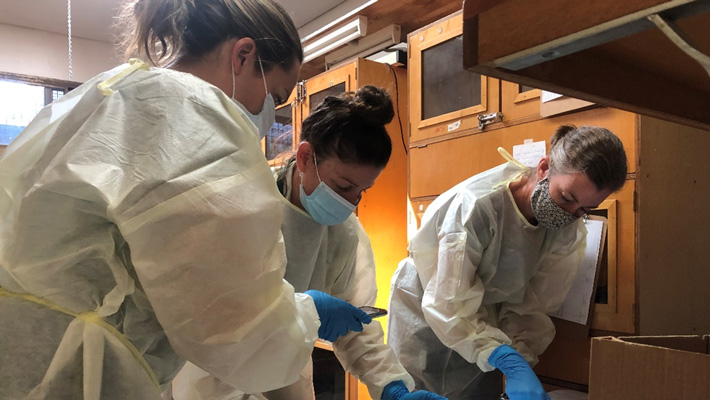 Dr Phoebe Meagher, Felicity Evans (Taronga) and Dr Kate Brandis (UNSW) scanning Blue-tongue lizards rescued from illegal trafficking with the Vanta XRF. 